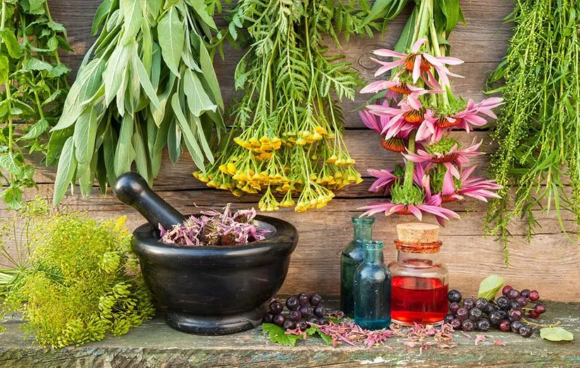 نگاه علمی به توصیه‌های طب سنتی